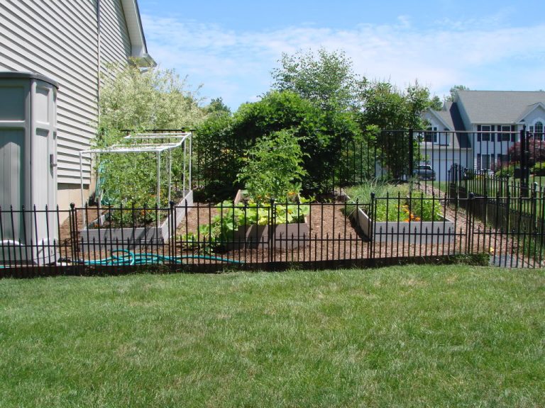 Temporary Dog Fence Ideas With 5 Type Easy Dog Fence