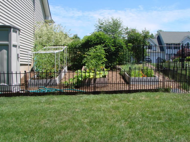 Temporary Dog Fence Ideas With 5 Type Easy Dog Fence