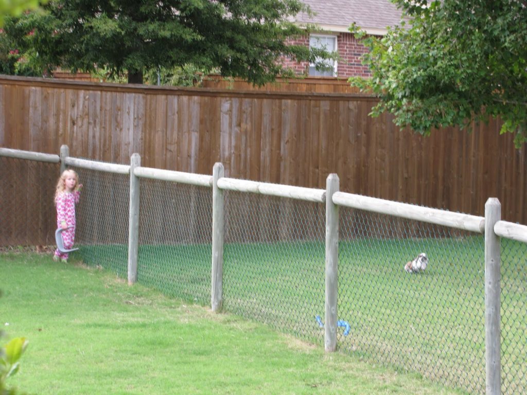 Temporary Dog Fence Ideas With 5 Type Easy Dog Fence