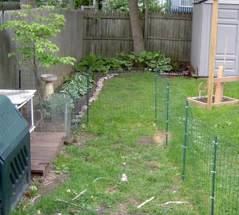 Temporary Dog Fence Ideas With 5 Type Easy Dog Fence