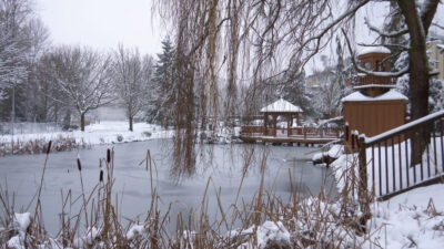 Five Tips To Get Cheap Inground Swimming Pools For Your House | Roy Home Design