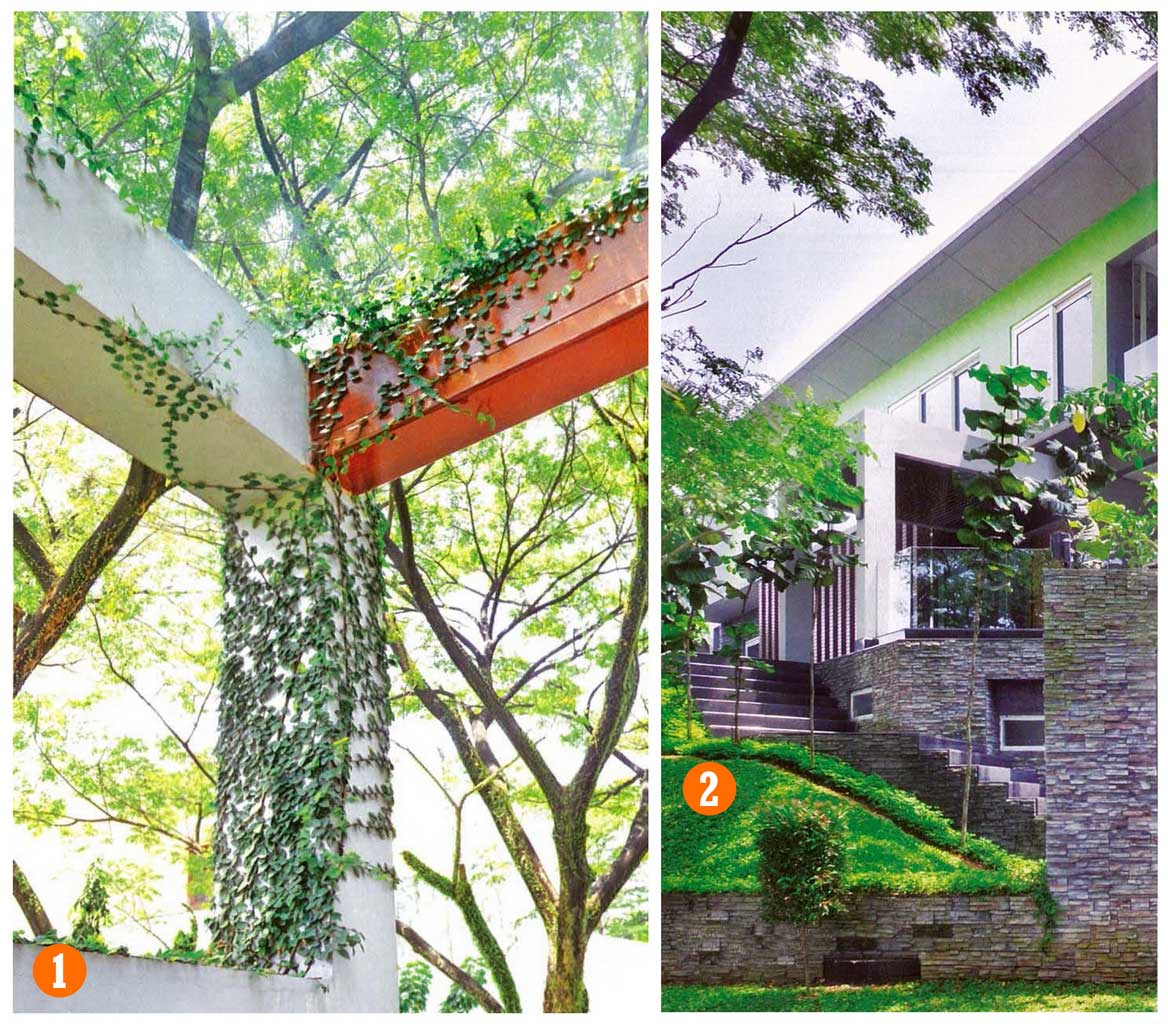 3 Carport Design For Car Shelter And Pergola Ideas | Roy Home Design