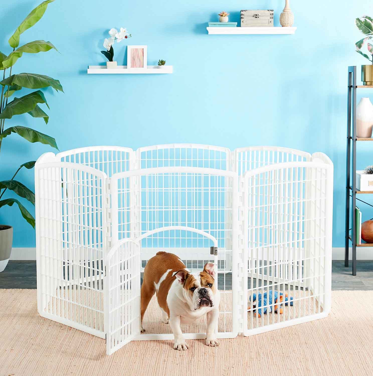 5 Indoor-Outdoor Simple And Cheap Fencing For Dogs | Roy Home Design