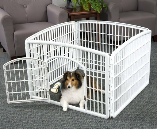 5 Indoor-Outdoor Simple And Cheap Fencing For Dogs | Roy Home Design