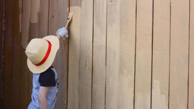 Learn The Truth About Fence Treatment In The Next 60 Seconds | Roy Home Design