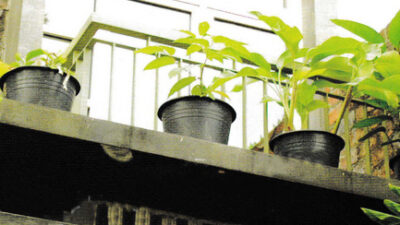 Saving Money Tips on Home Improvement: Roof, Door, Window, and Jamb | Roy Home Design