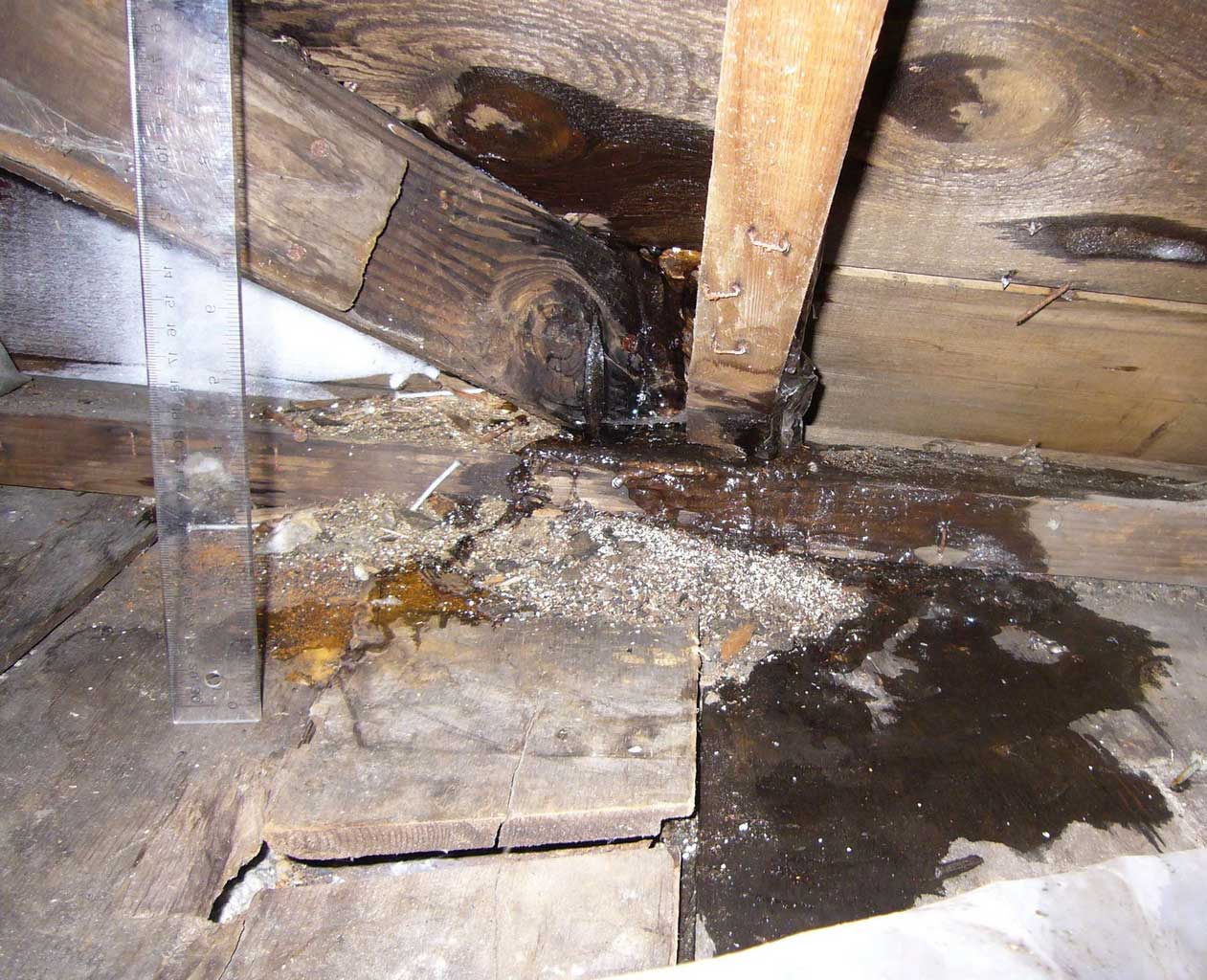 Prevent a Leaky Roof from Water Damage and How to Stop it