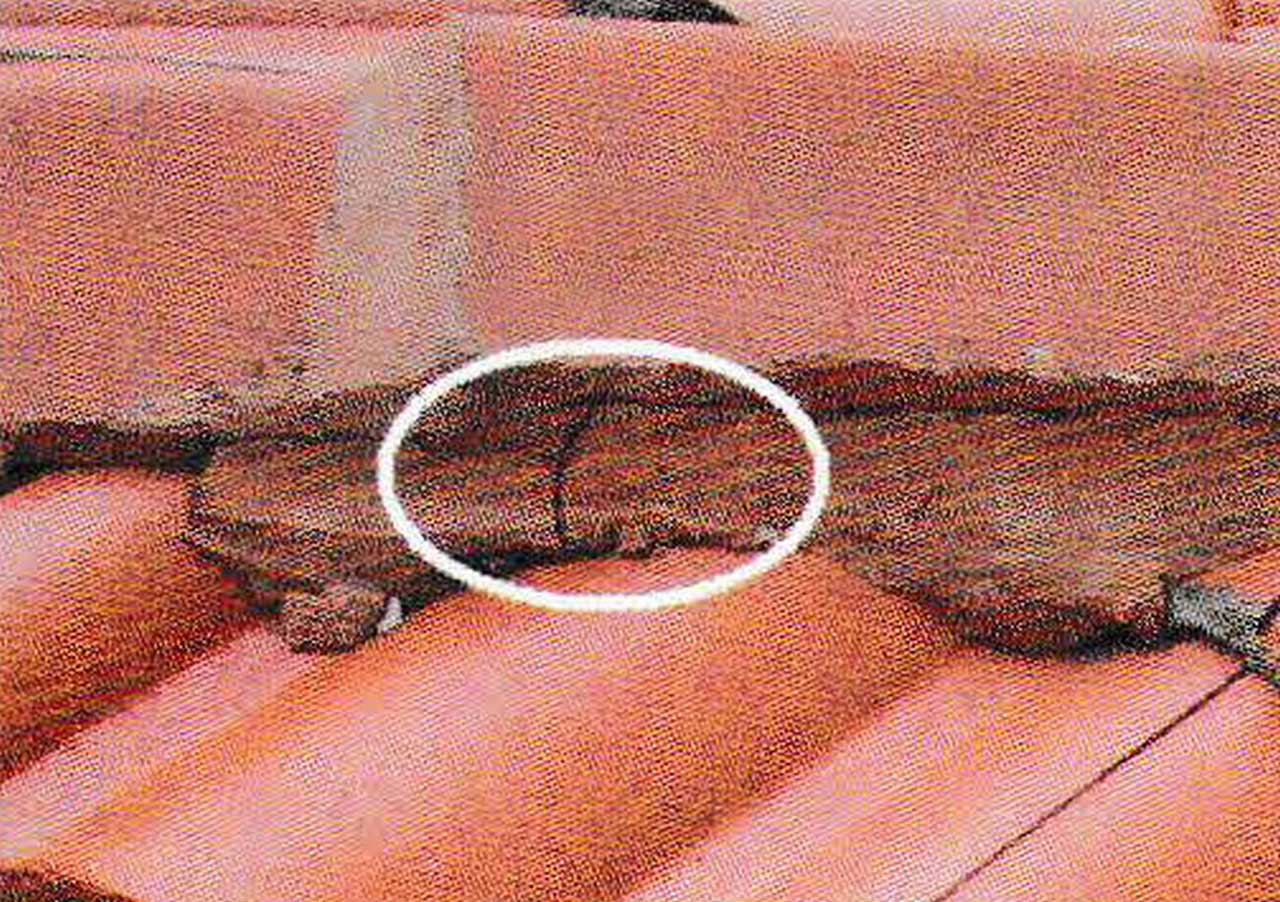 Prevent a Leaky Roof from Water Damage and How to Stop it