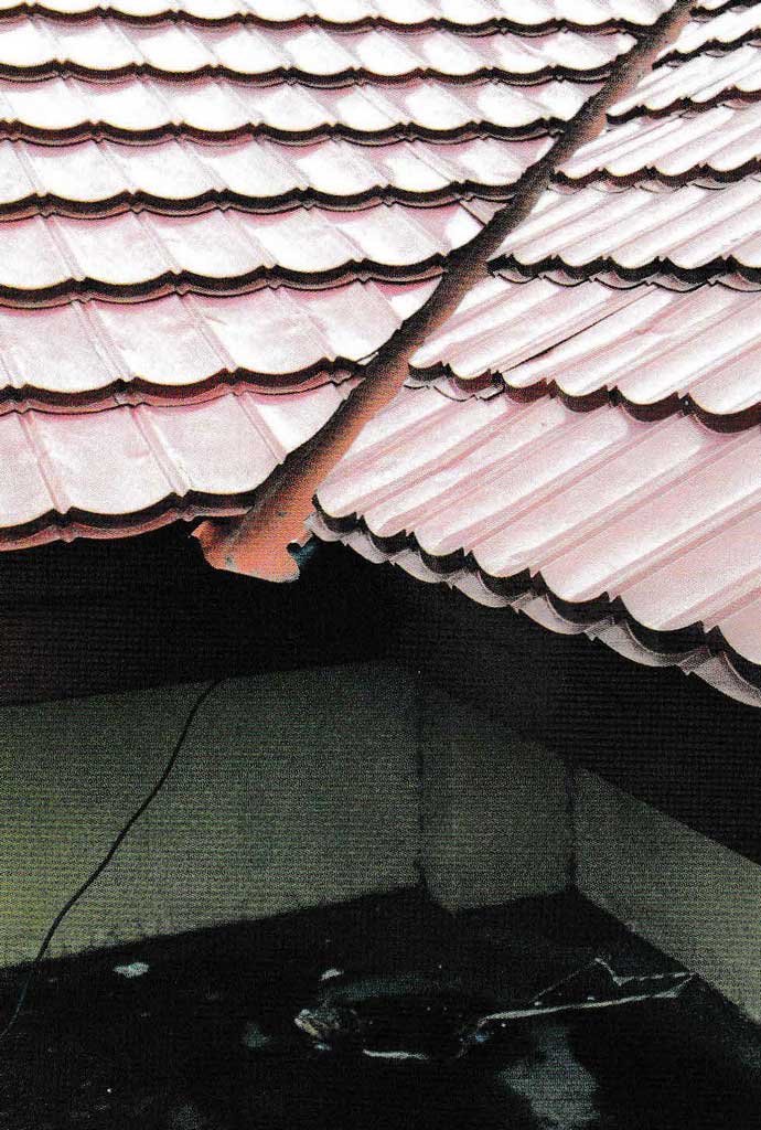 Prevent a Leaky Roof from Water Damage and How to Stop it