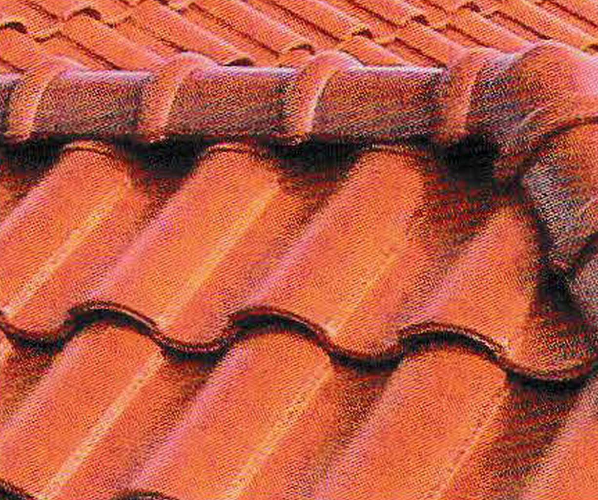 Prevent a Leaky Roof from Water Damage and How to Stop it