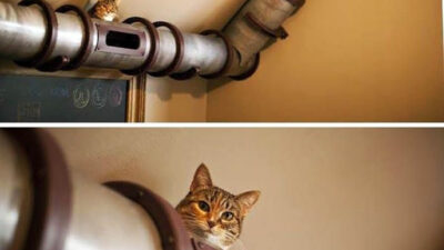 6 Functional And Unique Home Design Or Interior Ideas For Awesome Home | Roy Home Design