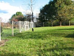 Cheap Easy Dog Fence with 3 Popular Dog Fence Options