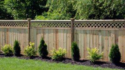 Various Model Of Backyard Fencing Ideas For Dogs to Carefree Your Pet | Roy Home Design