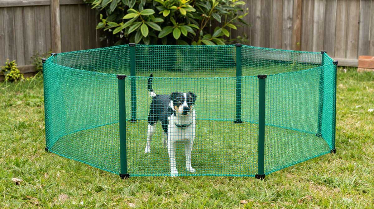 lightweight plastic netting dog fence for small dogs