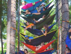 Simple Guidance For You In Eno Hammock | Eno Hammock