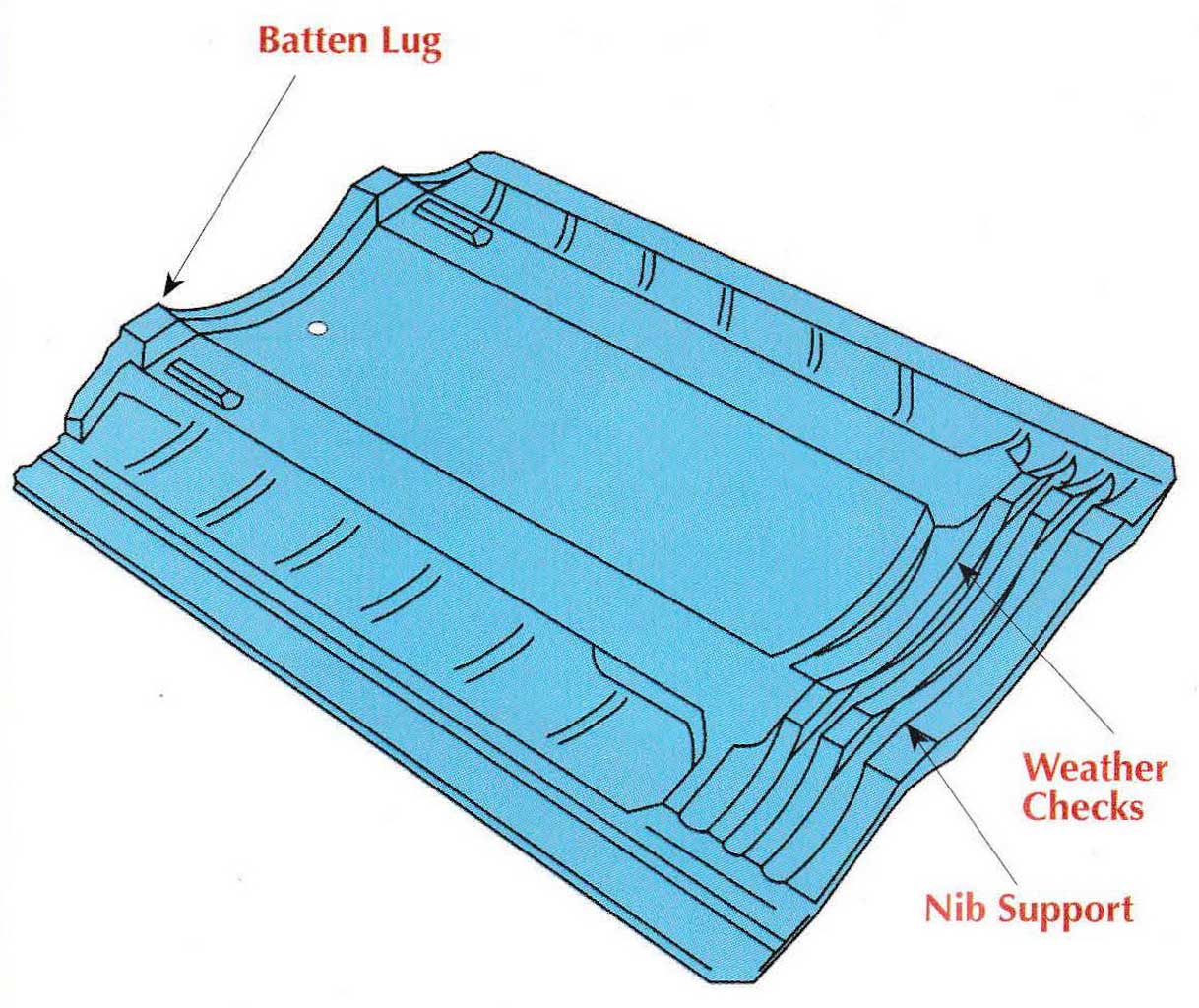 Wind Damage to Roof Houses: How to Prevent it? | Roy Home Design