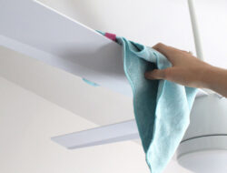 Tips and Tricks to Clean Ceiling Fan Blades You Should Know