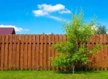 dog eared fence boards