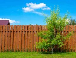 Get To Know Disadvantages Dog Eared Fence at Home