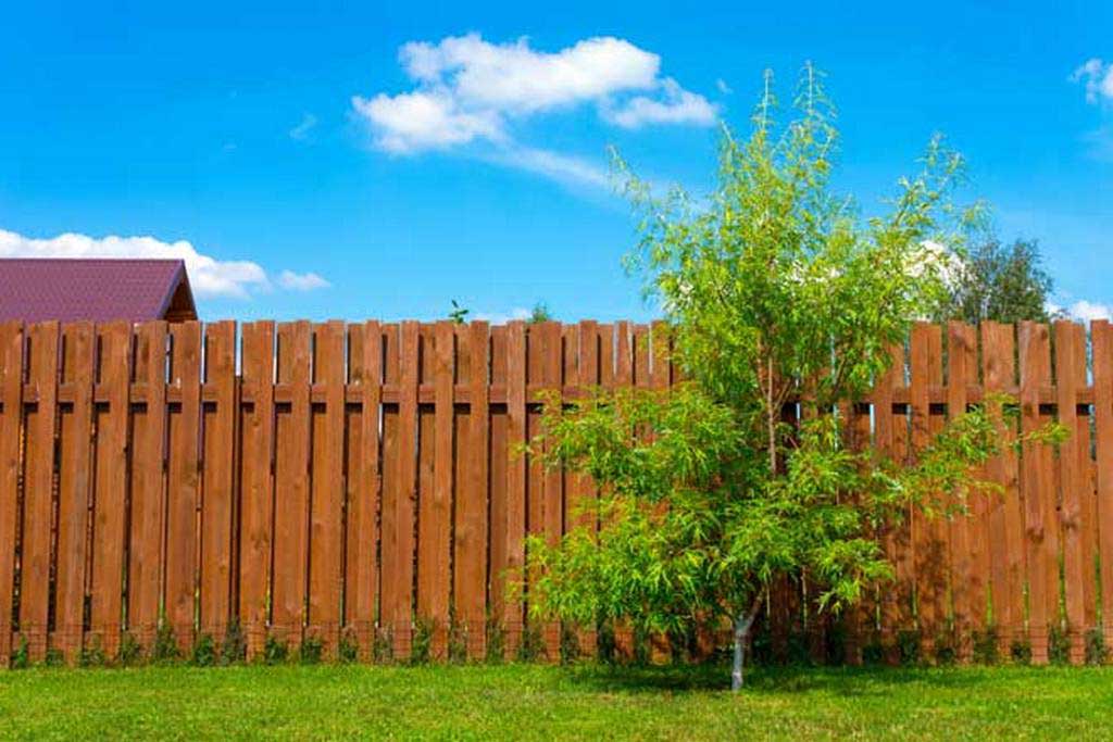 dog eared fence boards