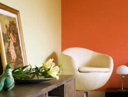 6 Best House Painting Colours Combinations You Should Adopt