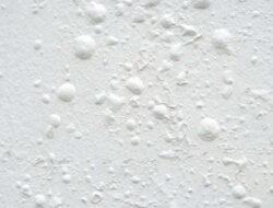 Paint Bubbles on Wall, 5 Most Common Causes And How to Fix It