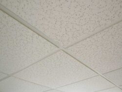 Work In Any Room, Here Are 5 Best Alternative Ceiling Materials