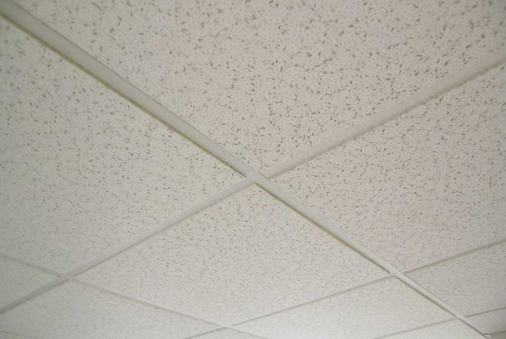 The Best Recommendation of Ceiling Alternatives That Work in Any Room You Can Choose