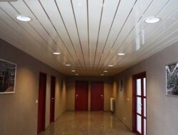 The Reasons Why You Should Buy These 5 Ceiling Materials For Residential