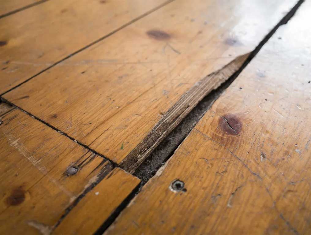 Tips and Tricks for Caring for Wood Flooring