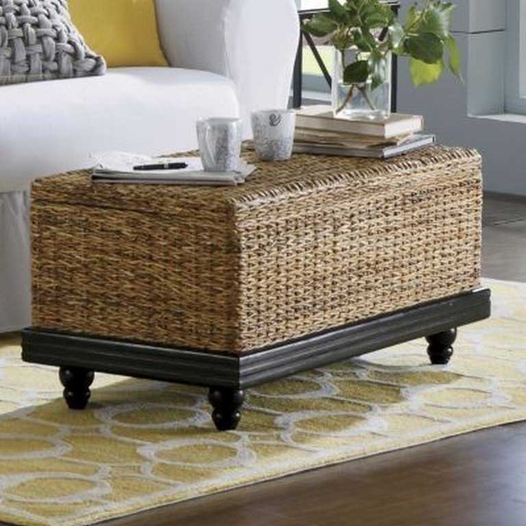 Best Seagrass Trunk Furniture at Living Room 