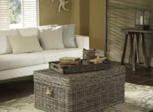 Best Seagrass Trunk Furniture at Living Room