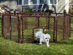 Lightweight Design, Here Are 4 Advantages Of Using Temporary Garden Fencing For Dogs