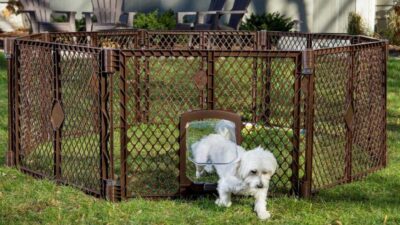 Lightweight Design, Here Are 4 Advantages Of Using Temporary Garden Fencing For Dogs
