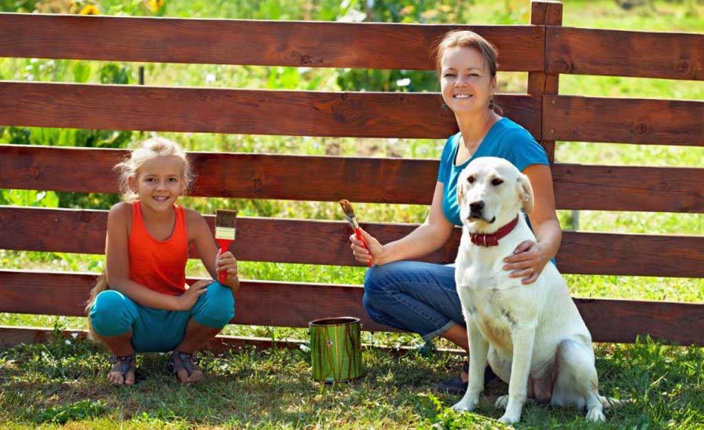 All About Temporary Yard Fence for Dogs You Should Know