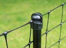 Determining The Most Reliable Dog Fence for Camping