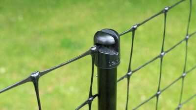 Determining The Most Reliable Dog Fence for Camping