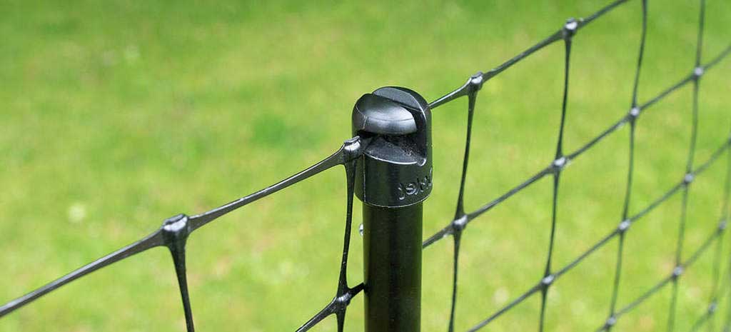 Determining The Most Reliable Dog Fence for Camping