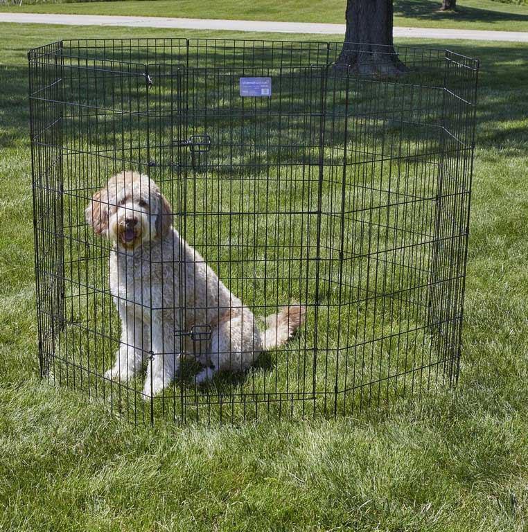 All About Temporary Yard Fence for Dogs You Should Know
