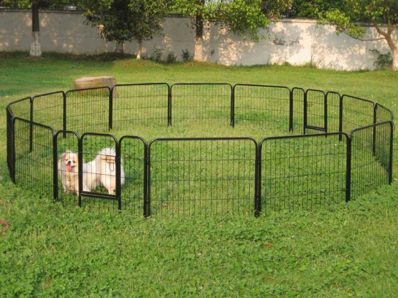 5 Top of Temporary Dog Fence Outdoor That Easy To Install