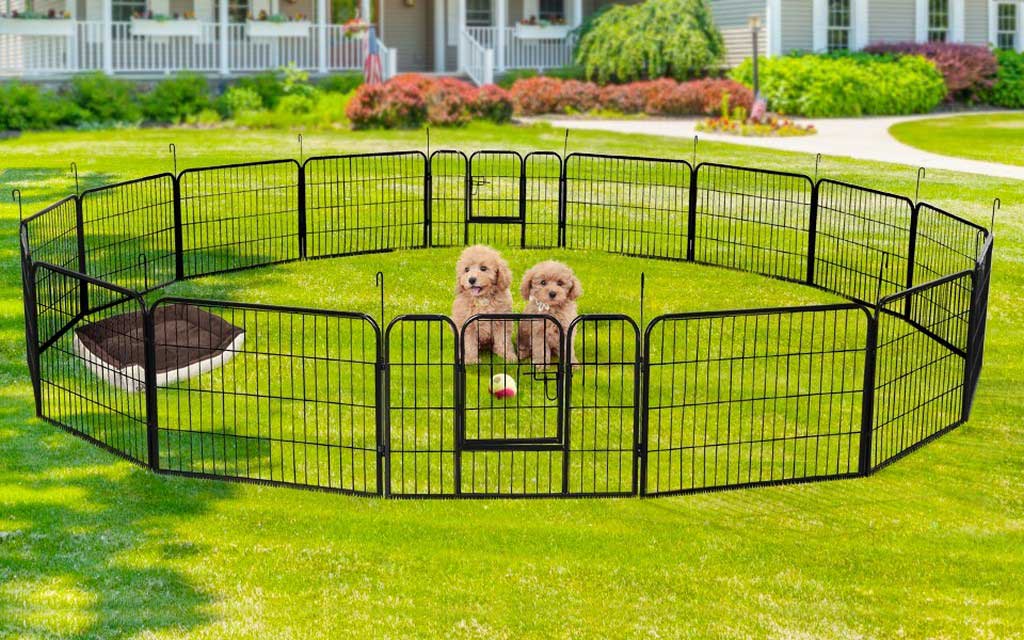 The Best Recommendation of Temporary Fencing for Dogs