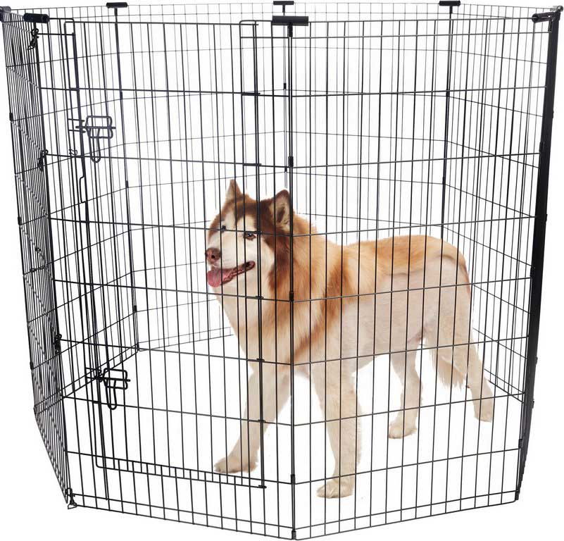 The Best Recommendation of Temporary Fencing for Dogs