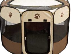 Affordable And Cost Effective, Here Are Top 5 Temporary Fencing for Dogs