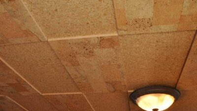 4 Different Types Of Ceiling Tiles That Can Transform Home Appeal