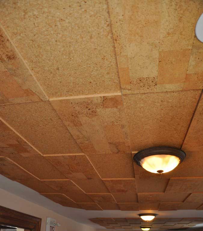 4 Different Types Of Ceiling Tiles That Can Transform Home Appeal