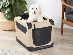 5 Best Temporary Fence For Dogs You Will Love