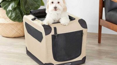 5 Best Temporary Fence For Dogs You Will Love