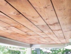 5 Best Wood for Ceilings That Will Transform Your Home Appeal