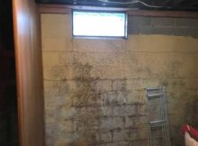 Basement Water Removal Tips And Health Attention