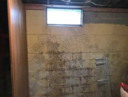 Basement Water Removal Tips And Health Attention